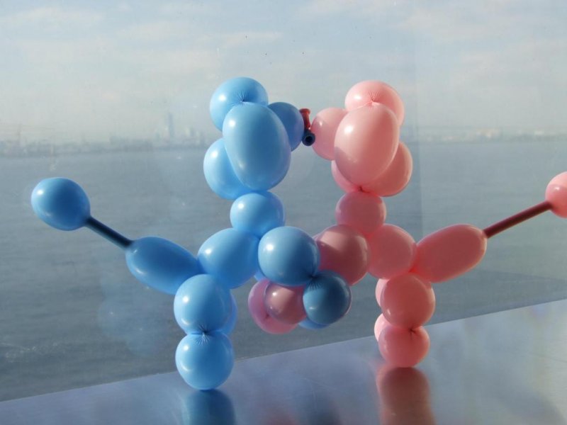 She created two balloon dogs kissing! They enjoyed the view, too!
