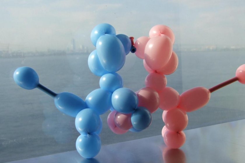 She created two balloon dogs kissing! They enjoyed the view, too!