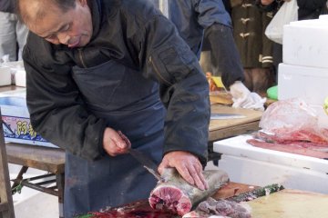 <p>Nothing could break this fish monger&#39;s concentration.</p>