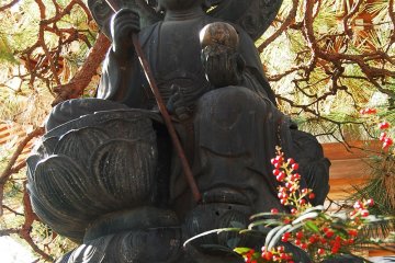 Buddha statue in Pine bonsai