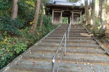 <p>Stairs to Main Gate</p>
