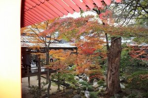 The inner garden of Daikakuji