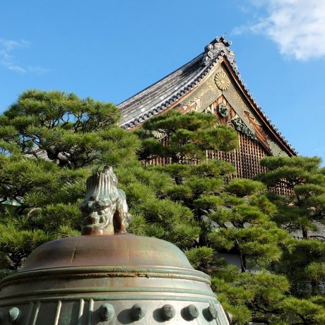 The Beauty of Nijo-jo Castle - 3