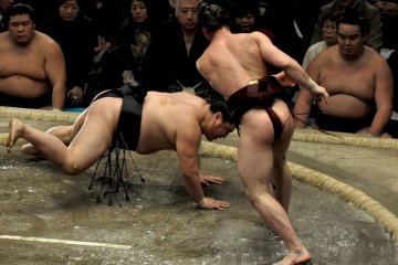 Takanoyama wins against Yoshikaze