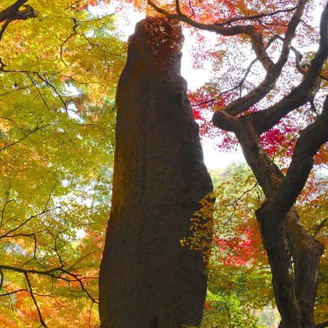 วัดและสวนคอนจิอินในเกียวโต