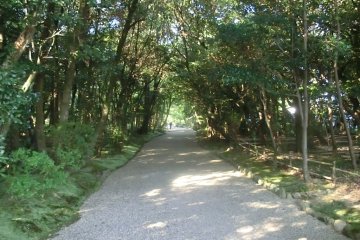 <p>Path to Akishinodera temple</p>