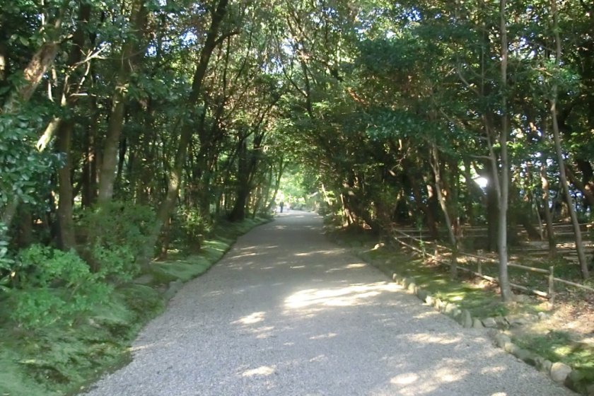 Path to Akishinodera temple