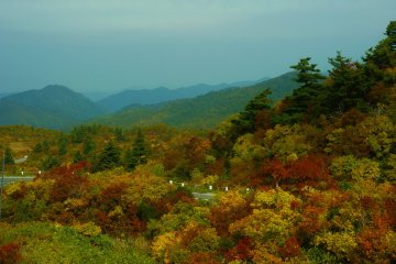 Another view of leaves and the mountains