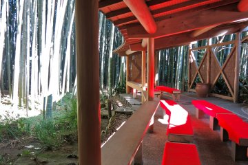 Inside the teahouse overlooking the bamboo garden