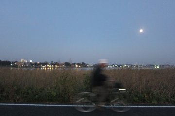 <p>นักปั่นจักรยานใต้แสงจันทร์</p>