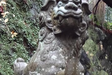 The moss covered stones and guardian dog statues are attractive, and remind you that you are in Japan…having the time of you life!