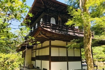  วัดกินคะคุจิ[Ginkaku-ji Temple]