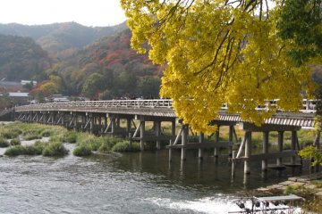 Sagano District in Kyoto