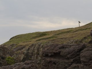 Watching over the grassy land above the rocks