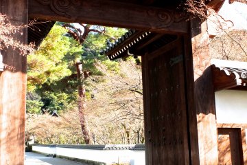 <p>The Main Gate to Eikan-do</p>