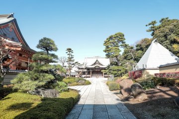 Ikegami Honmonji Temple
