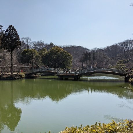 Yakushi-ike Park