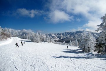 Shiga Kogen Snow Trip - January 28-30, 2022